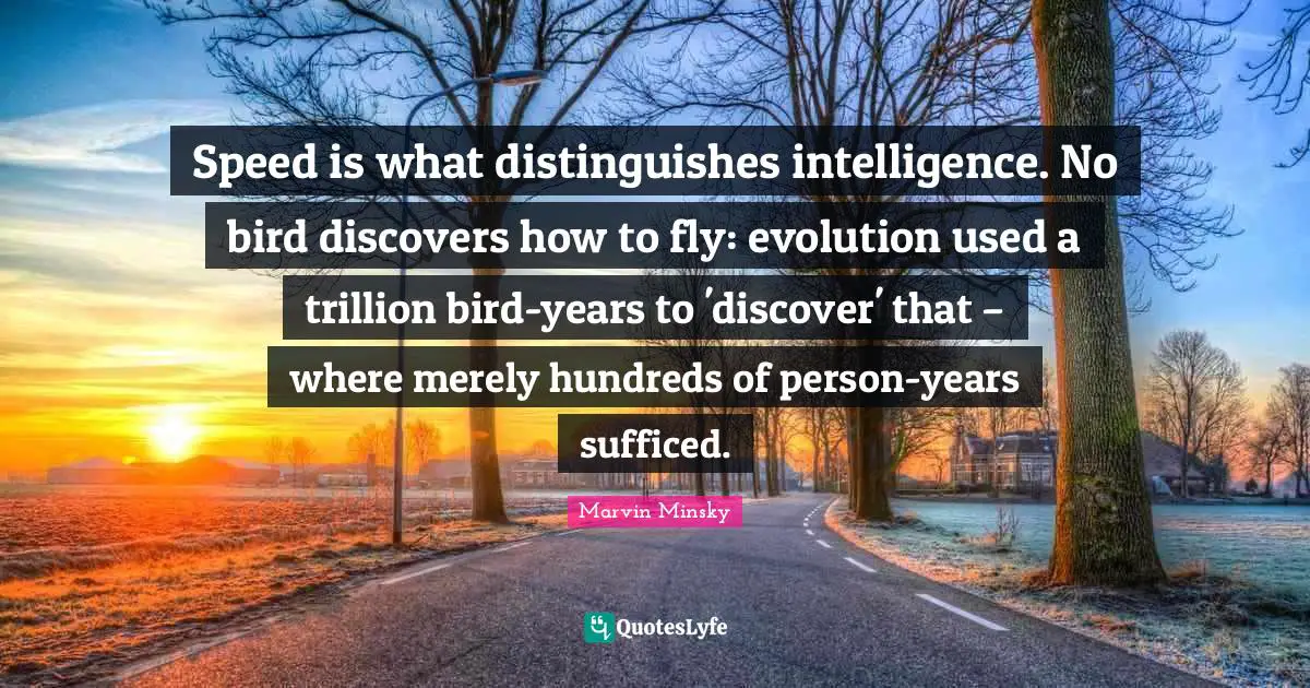 Speed is what distinguishes intelligence. No bird discovers how to fly: evolution used a trillion bird-years to 'discover' that – where merely hundreds of person-years sufficed.