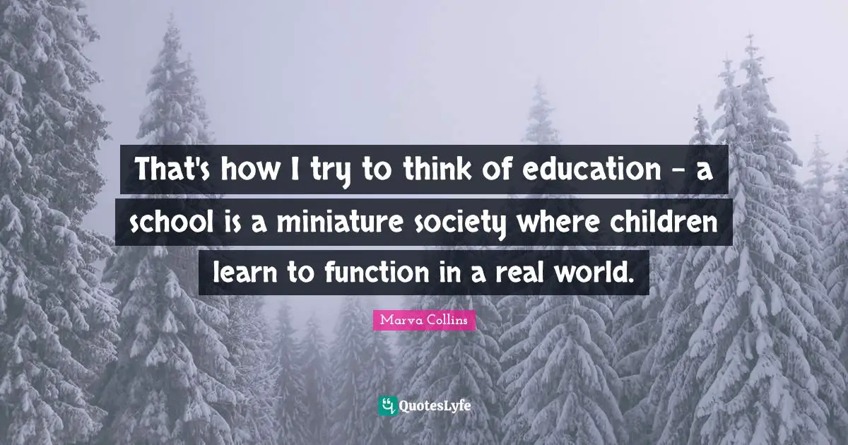 That's how I try to think of education - a school is a miniature society where children learn to function in a real world.