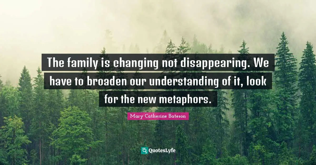 The family is changing not disappearing. We have to broaden our understanding of it, look for the new metaphors.