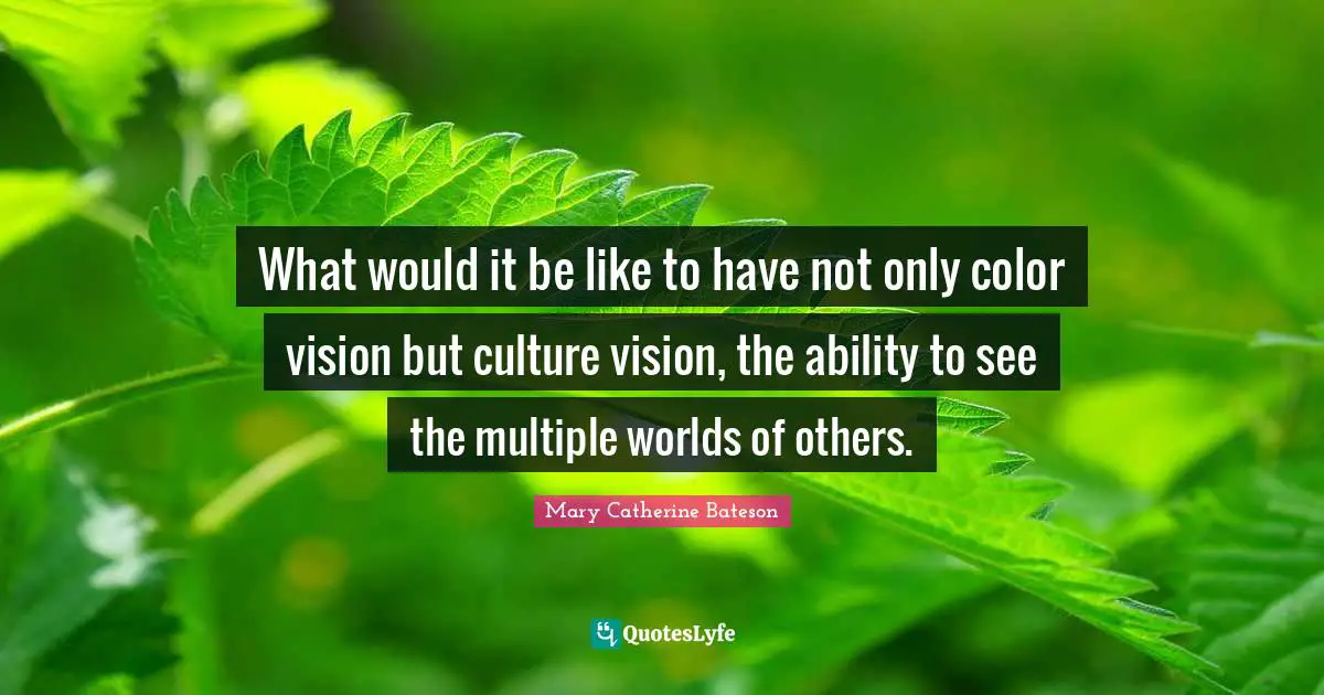 What would it be like to have not only color vision but culture vision, the ability to see the multiple worlds of others.