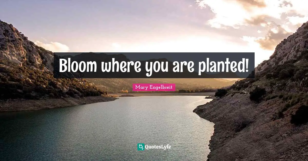 Bloom where you are planted!