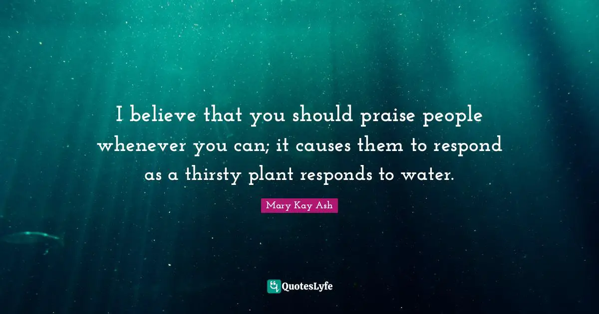 I believe that you should praise people whenever you can; it causes them to respond as a thirsty plant responds to water.