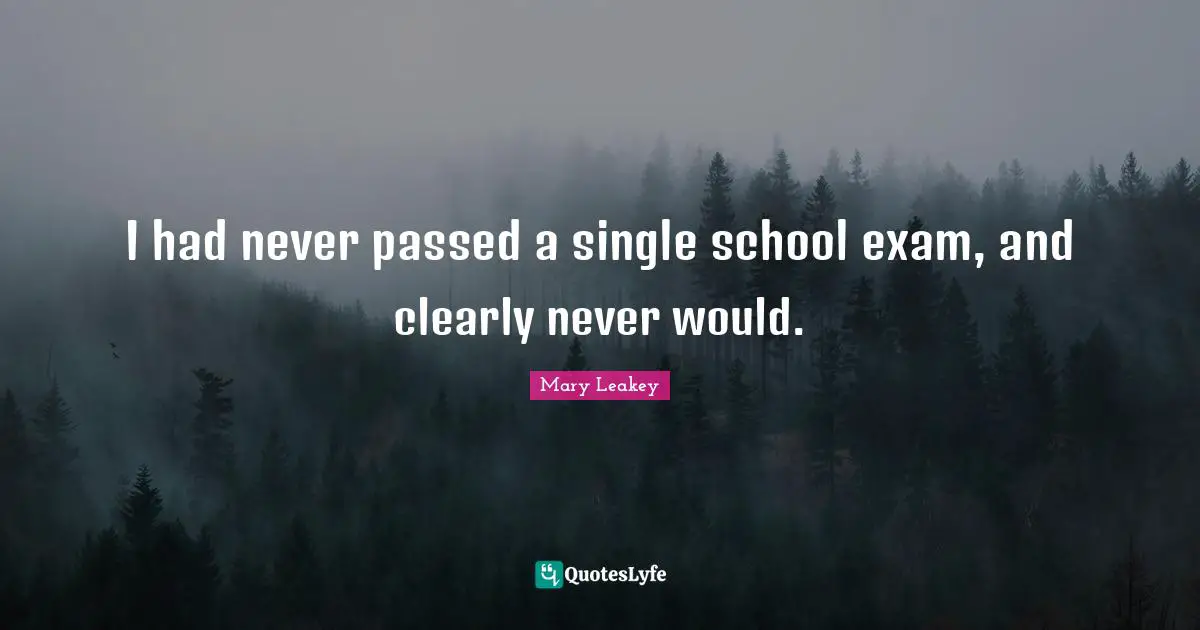 I had never passed a single school exam, and clearly never would.