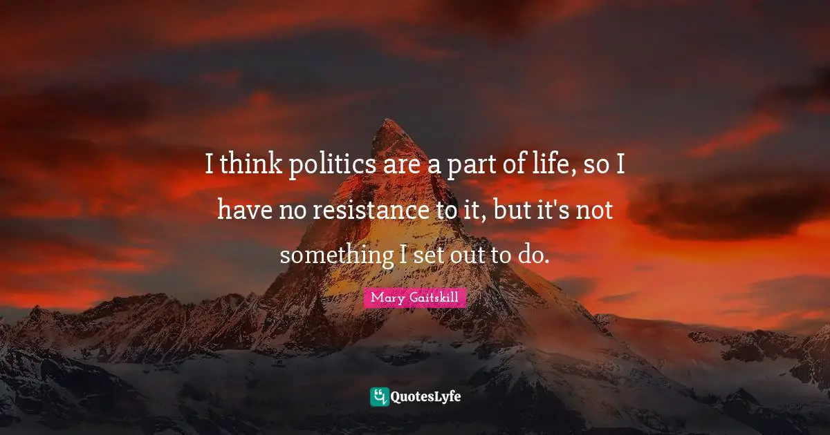 I think politics are a part of life, so I have no resistance to it, but it's not something I set out to do.