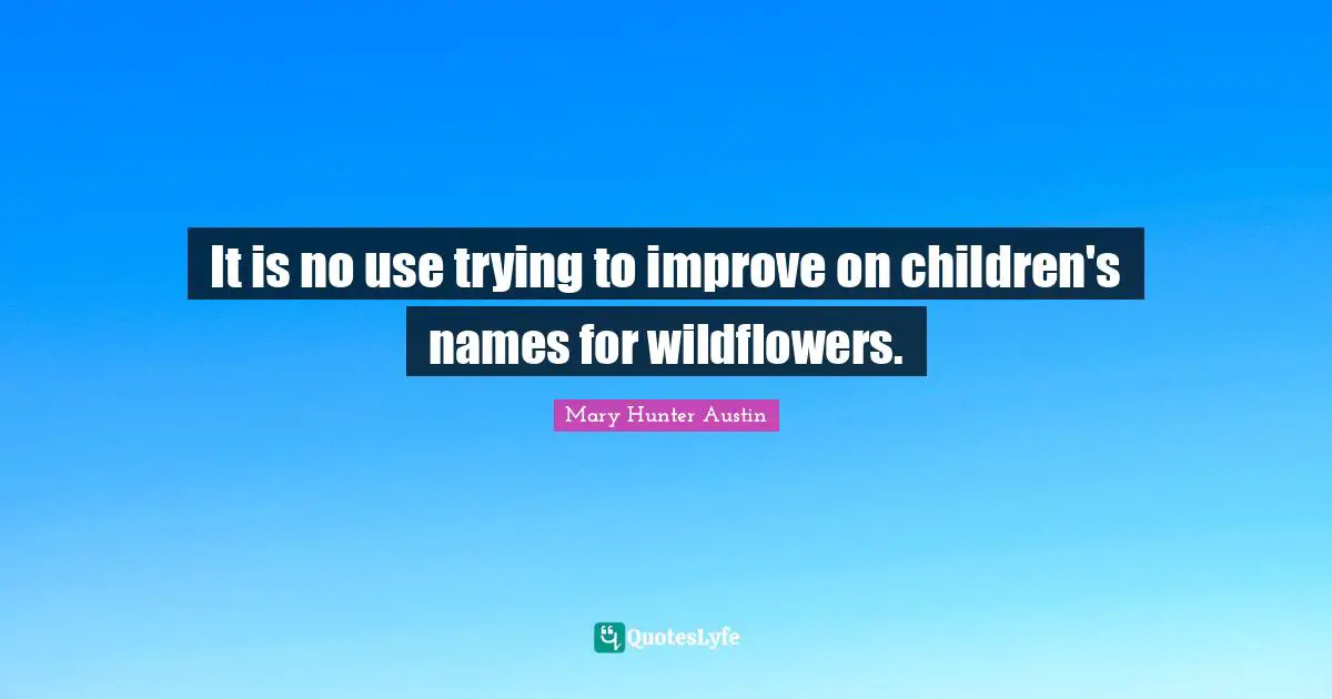 It is no use trying to improve on children's names for wildflowers.