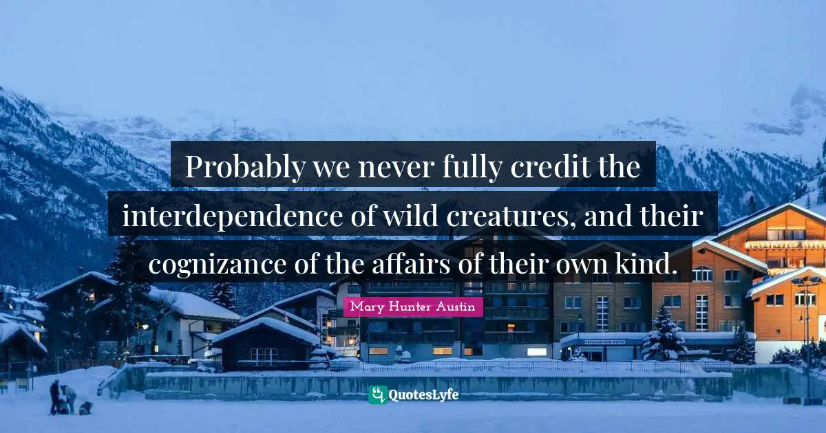 Probably we never fully credit the interdependence of wild creatures, and their cognizance of the affairs of their own kind.
