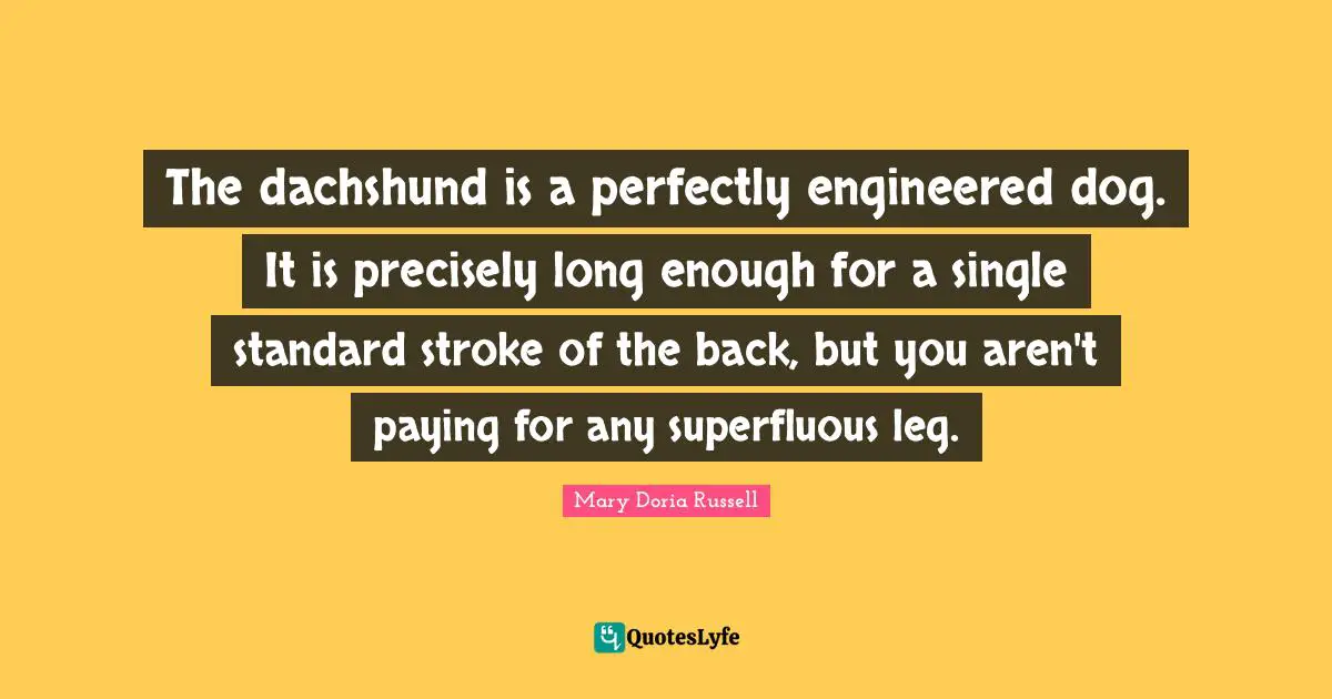 The dachshund is a perfectly engineered dog. It is precisely long enough for a single standard stroke of the back, but you aren't paying for any superfluous leg.