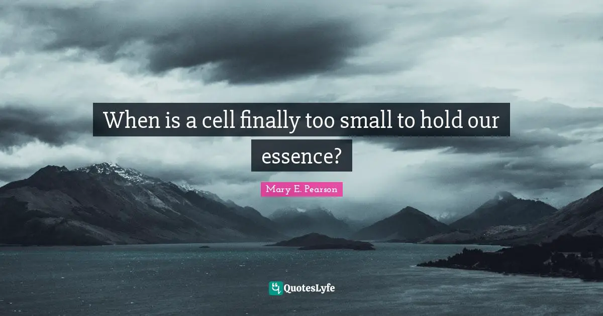 When is a cell finally too small to hold our essence?