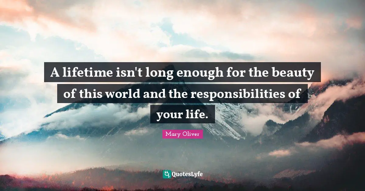 Mary Oliver Quotes: "A lifetime isn't long enough for the beauty of this world and the responsibilities of your life."