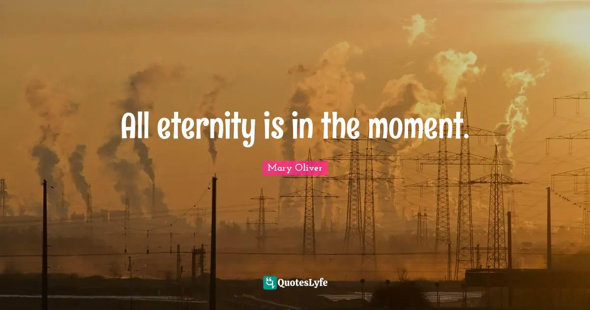 Mary Oliver Quotes: "All eternity is in the moment."