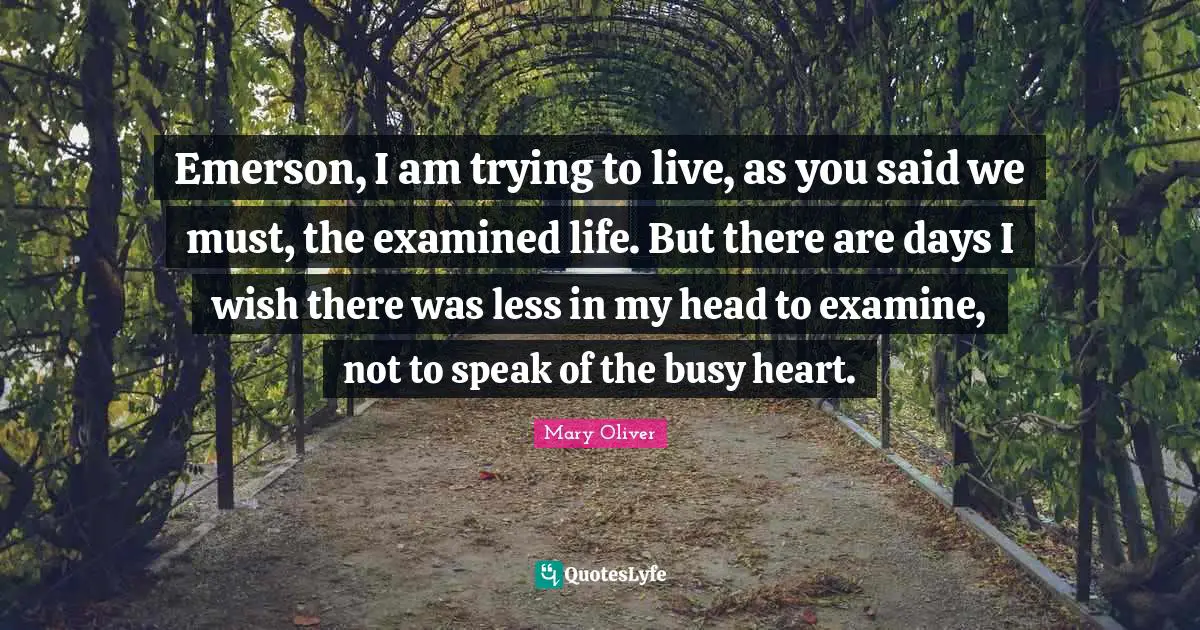 Emerson, I am trying to live, as you said we must, the examined life. But there are days I wish there was less in my head to examine, not to speak of the busy heart.
