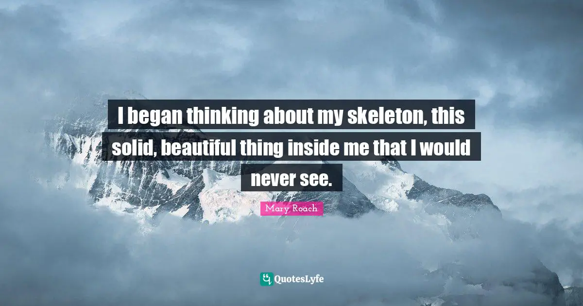 Skeletons Quotes: "I began thinking about my skeleton, this solid, beautiful thing inside me that I would never see."