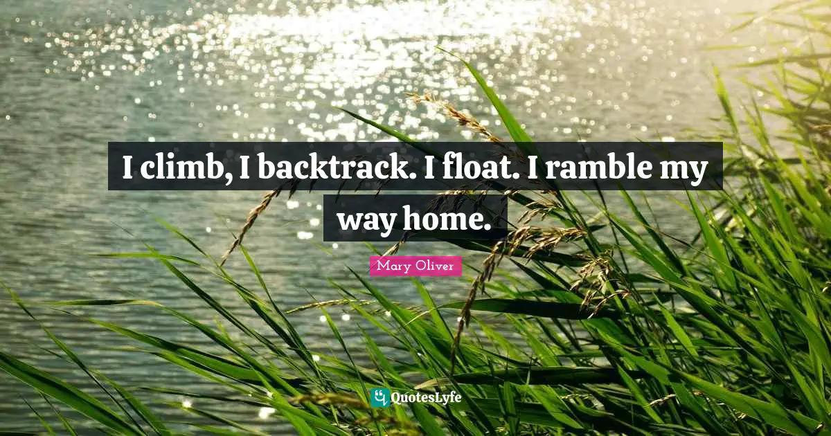 I climb, I backtrack. I float. I ramble my way home.