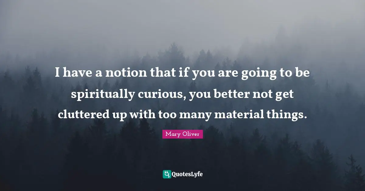 Clutter Quotes: "I have a notion that if you are going to be spiritually curious, you better not get cluttered up with too many material things."