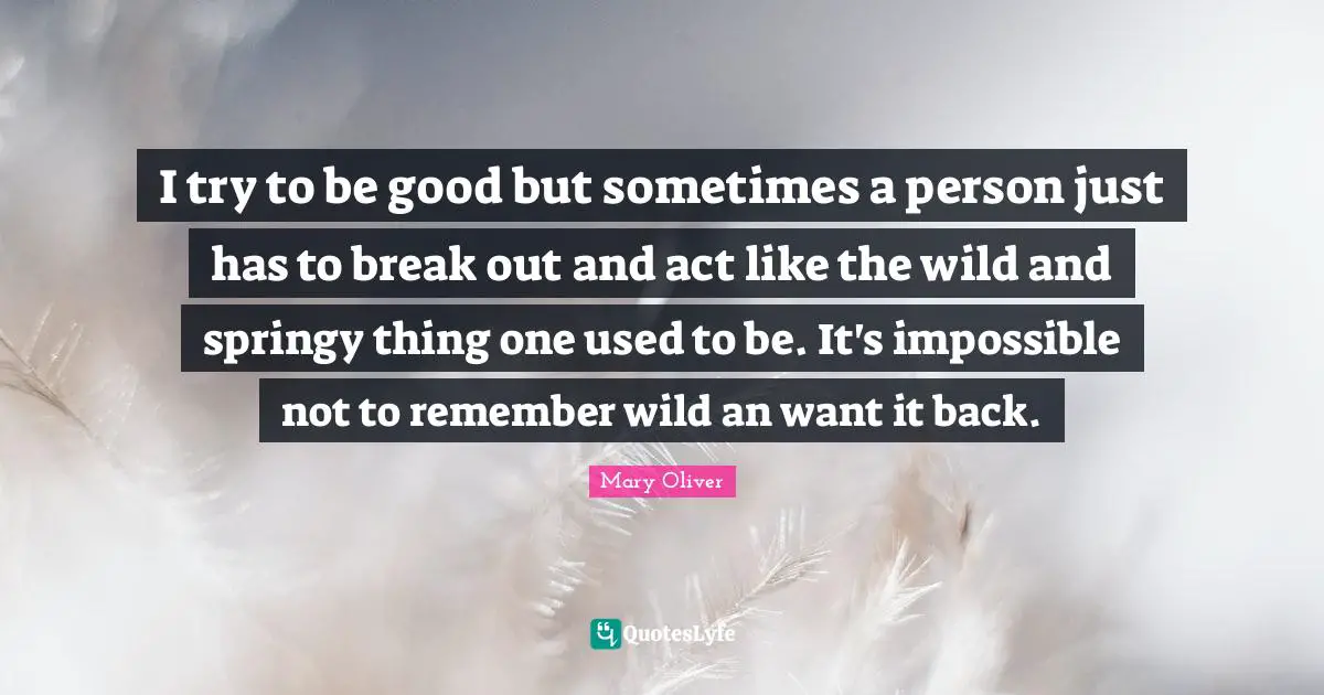 I try to be good but sometimes a person just has to break out and act like the wild and springy thing one used to be. It's impossible not to remember wild an want it back.