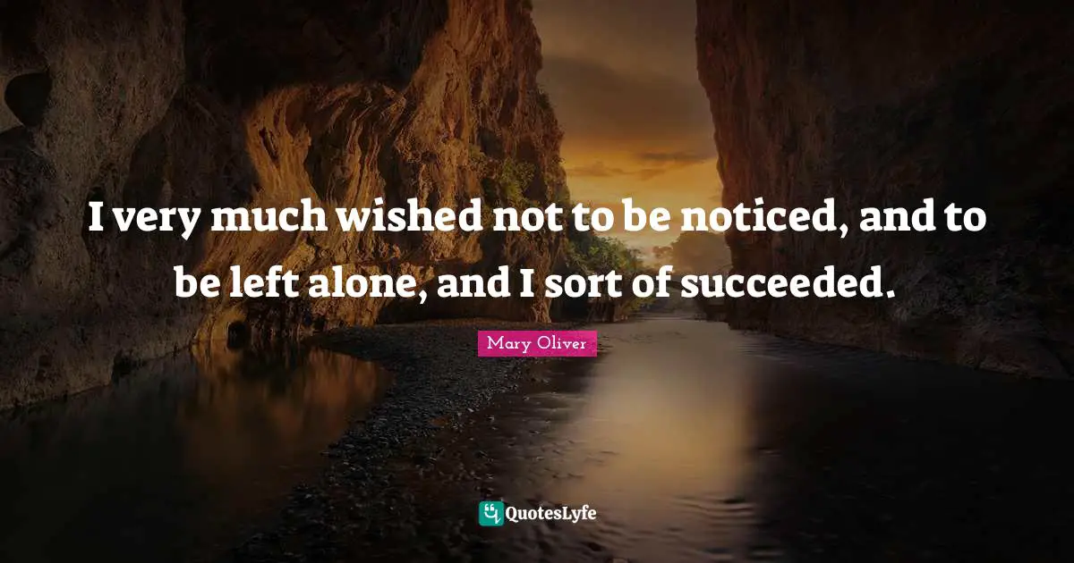 I very much wished not to be noticed, and to be left alone, and I sort of succeeded.
