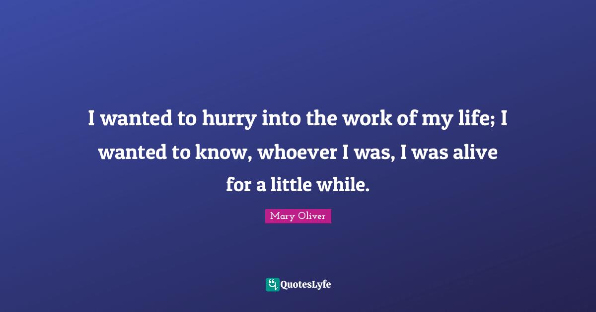 I wanted to hurry into the work of my life; I wanted to know, whoever I was, I was alive for a little while.