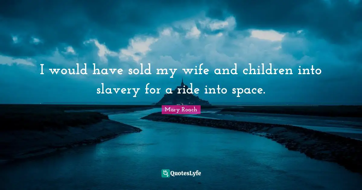 I would have sold my wife and children into slavery for a ride into space.