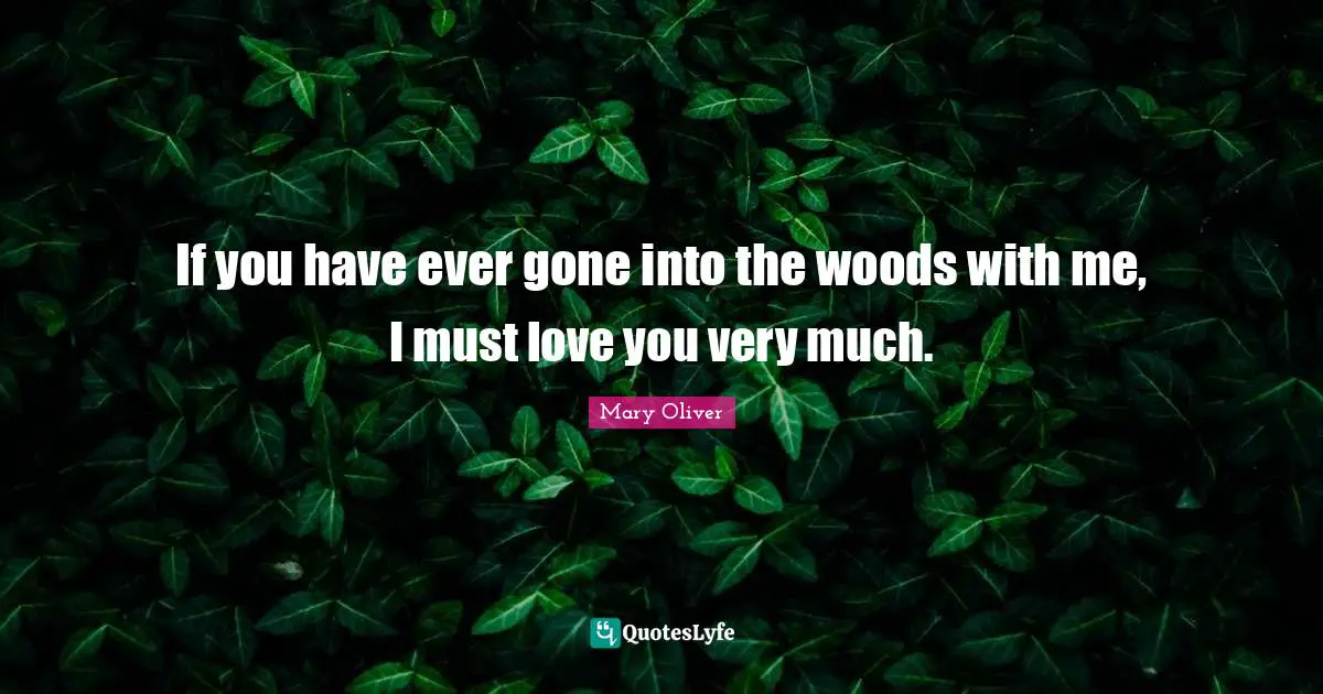 Mary Oliver Quotes: "If you have ever gone into the woods with me, I must love you very much."