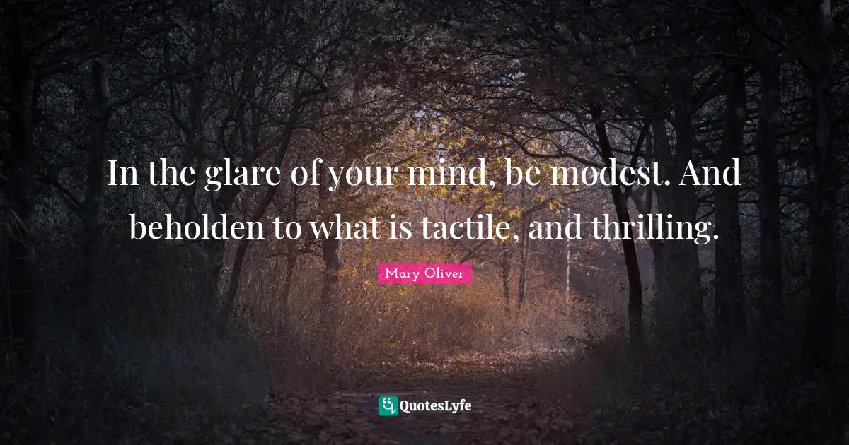 In the glare of your mind, be modest. And beholden to what is tactile, and thrilling.
