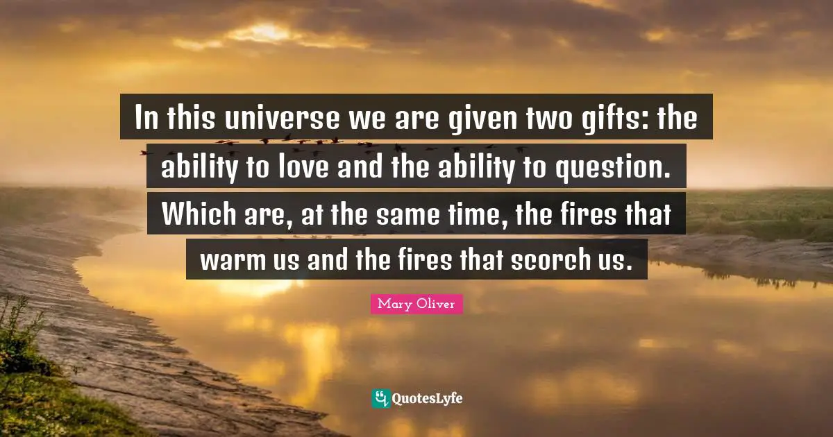 Fire Quotes: "In this universe we are given two gifts: the ability to love and the ability to question. Which are, at the same time, the fires that warm us and the fires that scorch us."