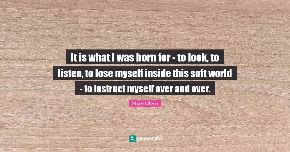 It is what I was born for - to look, to listen, to lose myself inside this soft world - to instruct myself over and over.