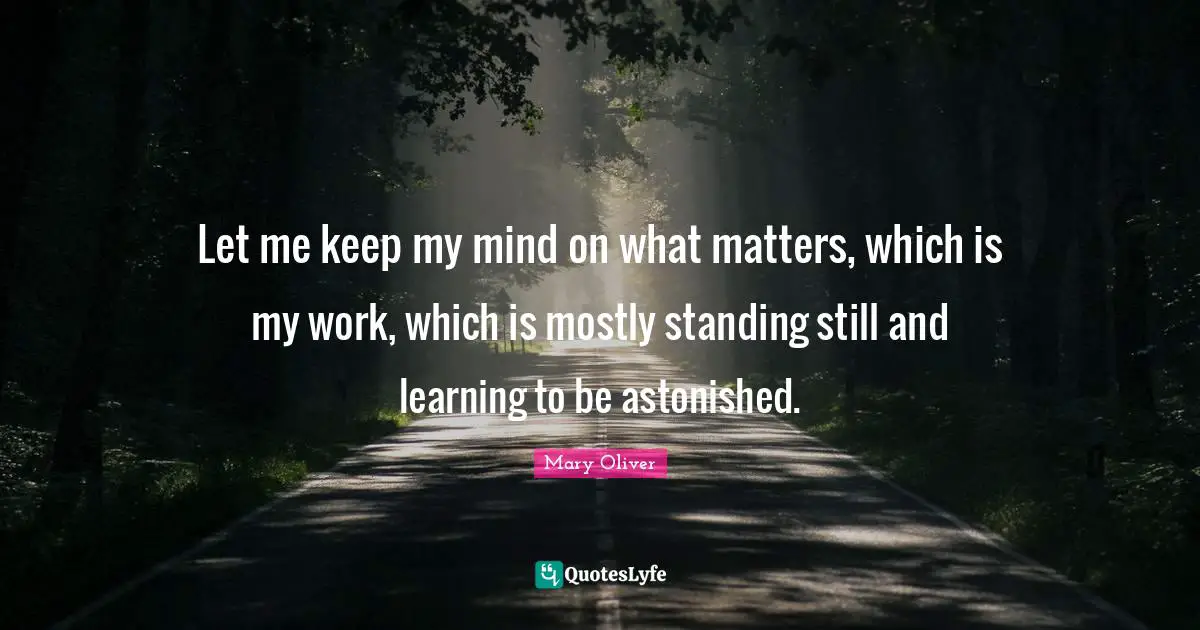 Mary Oliver Quotes: "Let me keep my mind on what matters, which is my work, which is mostly standing still and learning to be astonished."