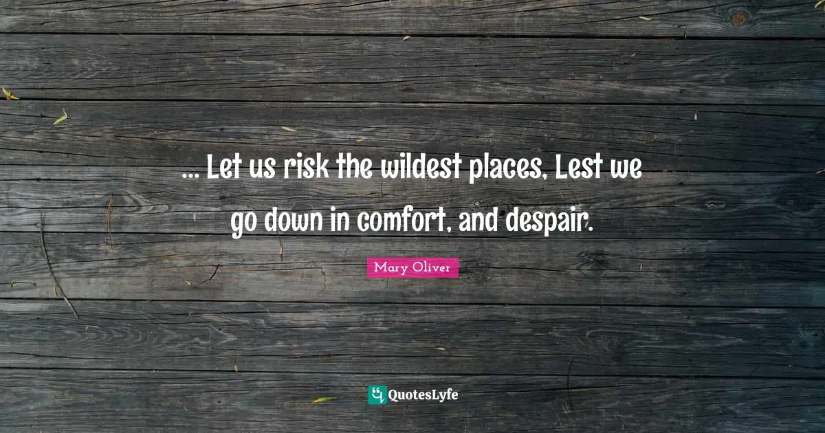 Mary Oliver Quotes: "... Let us risk the wildest places, Lest we go down in comfort, and despair."