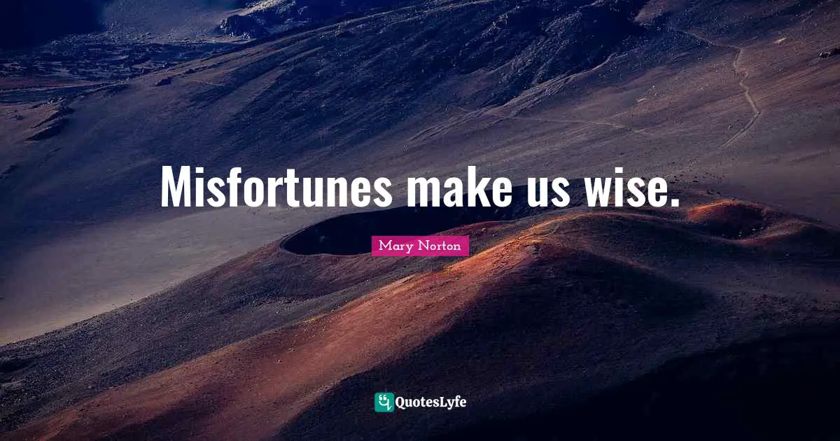 Misfortunes Quotes: "Misfortunes make us wise."
