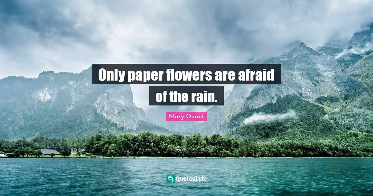 Rain Quotes: "Only paper flowers are afraid of the rain."