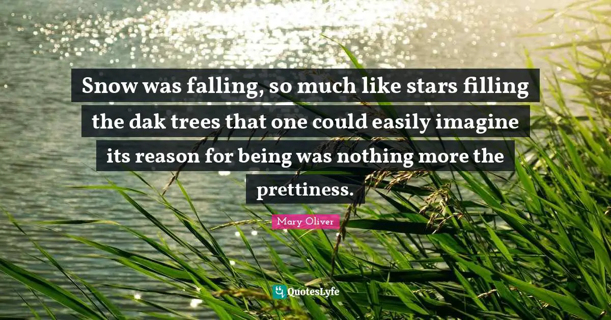 Snow was falling, so much like stars filling the dak trees that one could easily imagine its reason for being was nothing more the prettiness.