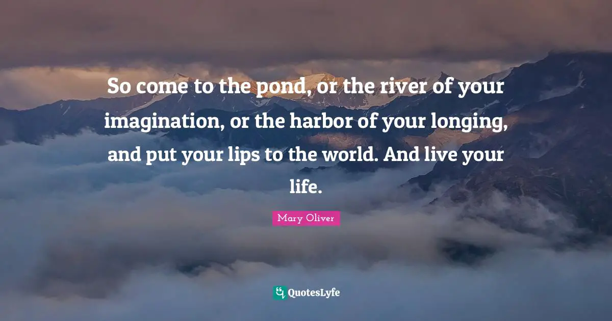 Mary Oliver Quotes: "So come to the pond, or the river of your imagination, or the harbor of your longing, and put your lips to the world. And live your life."