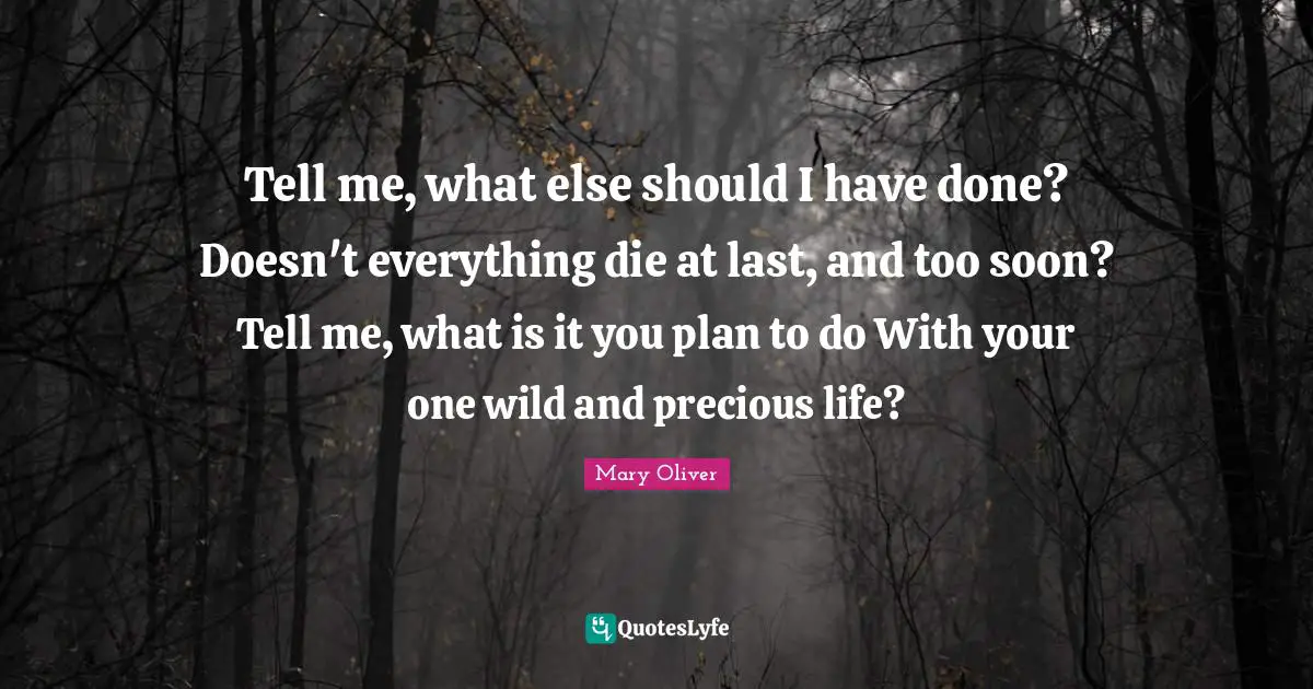 Tell me, what else should I have done? Doesn't everything die at last, and too soon? Tell me, what is it you plan to do With your one wild and precious life?