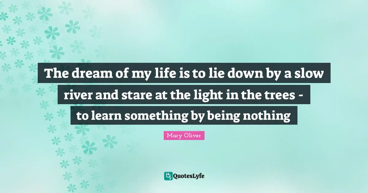 Mary Oliver Quotes: "The dream of my life is to lie down by a slow river and stare at the light in the trees - to learn something by being nothing"