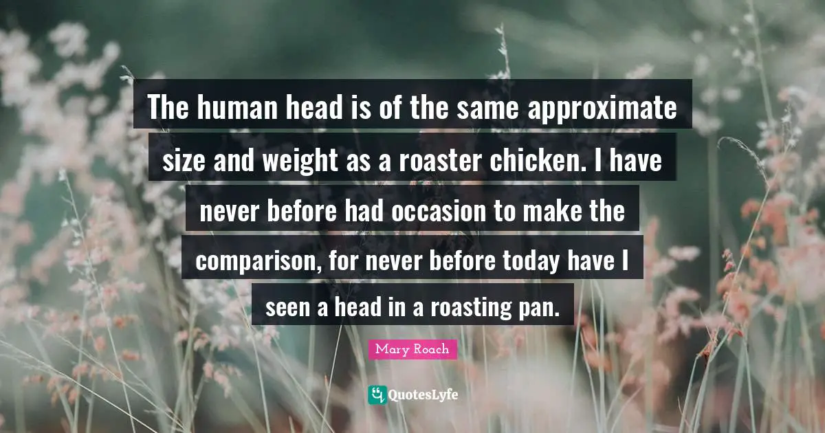 The human head is of the same approximate size and weight as a roaster chicken. I have never before had occasion to make the comparison, for never before today have I seen a head in a roasting pan.