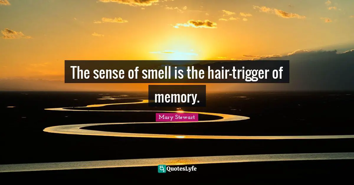 The sense of smell is the hair-trigger of memory.
