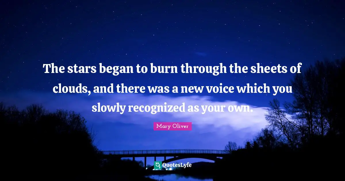 Mary Oliver Quotes: "The stars began to burn through the sheets of clouds, and there was a new voice which you slowly recognized as your own."
