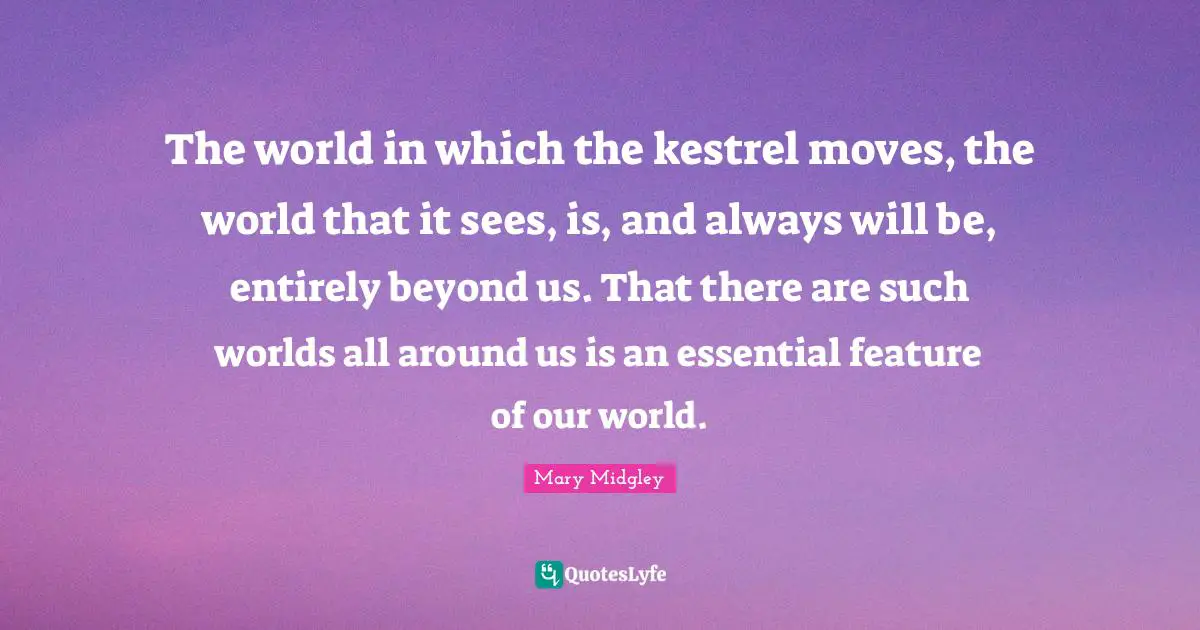 The world in which the kestrel moves, the world that it sees, is, and always will be, entirely beyond us. That there are such worlds all around us is an essential feature of our world.