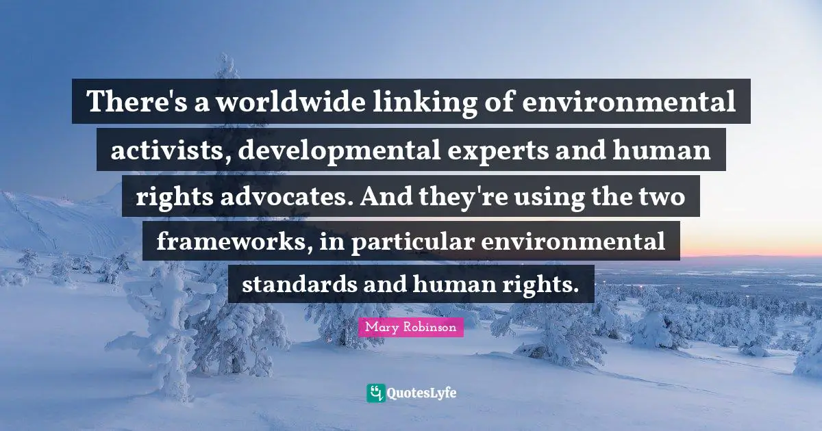 Mary Robinson Quotes: "There's a worldwide linking of environmental activists, developmental experts and human rights advocates. And they're using the two frameworks, in particular environmental standards and human rights."