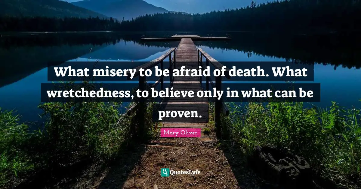 Wretchedness Quotes: "What misery to be afraid of death. What wretchedness, to believe only in what can be proven."