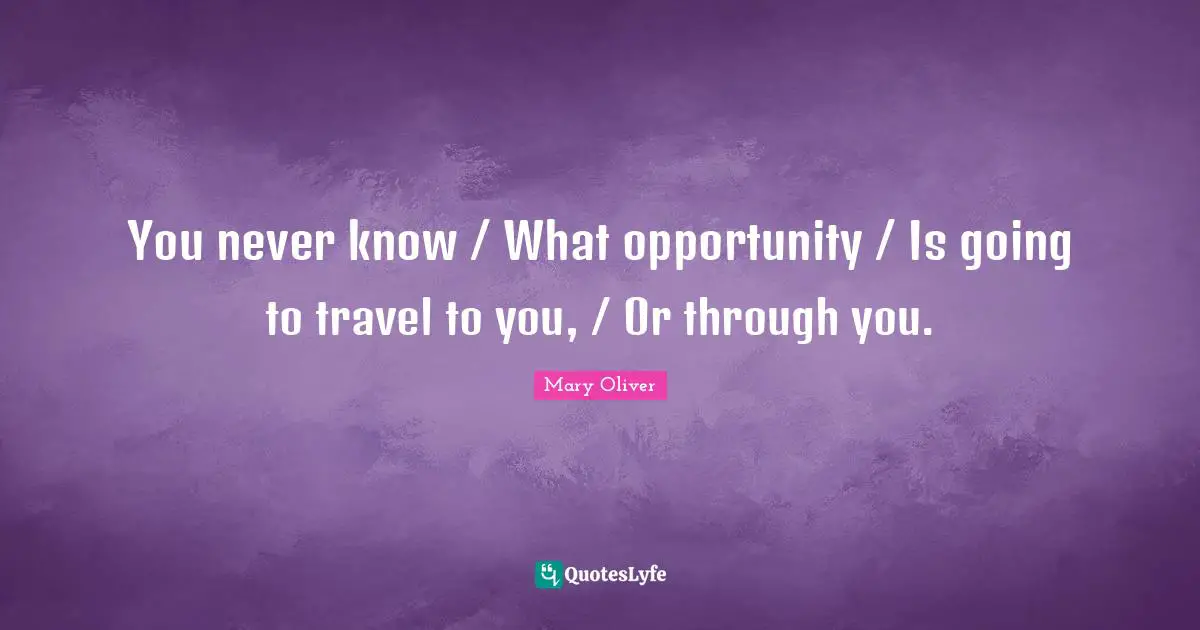 Mary Oliver Quotes: "You never know / What opportunity / Is going to travel to you, / Or through you."