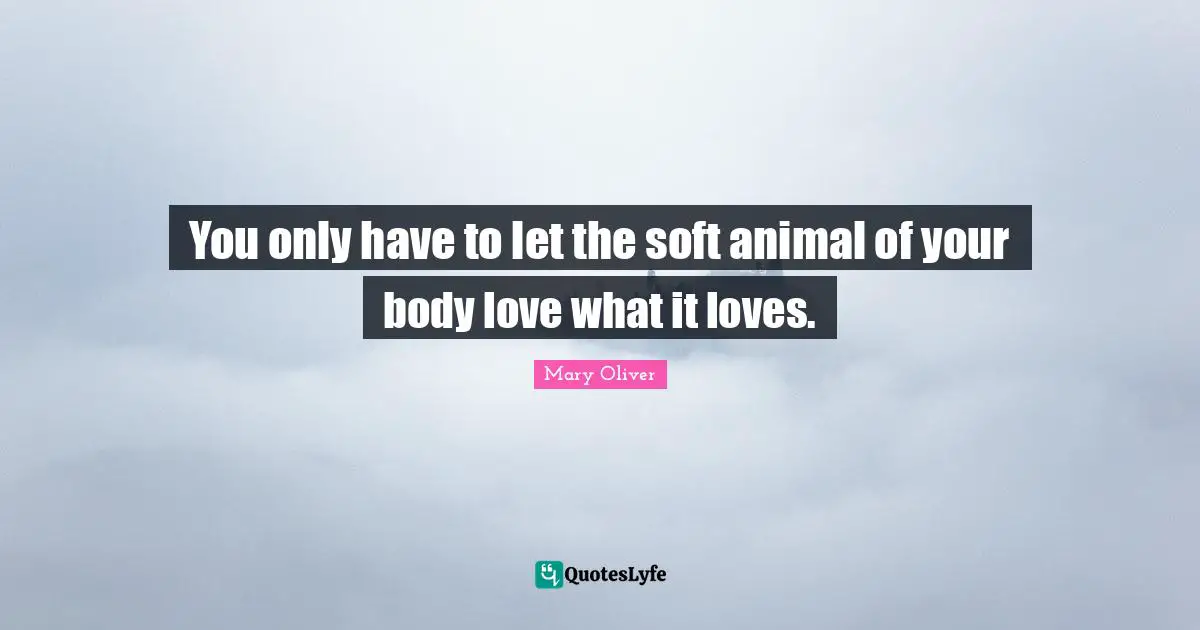 You only have to let the soft animal of your body love what it loves.