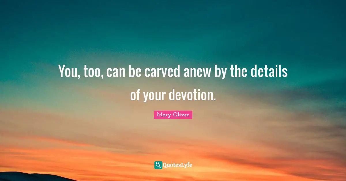 Mary Oliver Quotes: "You, too, can be carved anew by the details of your devotion."