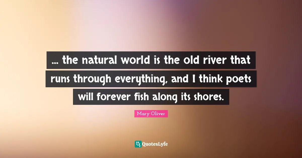 ... the natural world is the old river that runs through everything, and I think poets will forever fish along its shores.