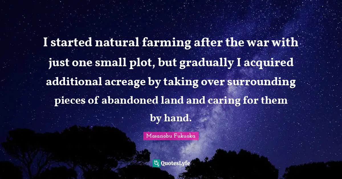 I started natural farming after the war with just one small plot, but gradually I acquired additional acreage by taking over surrounding pieces of abandoned land and caring for them by hand.