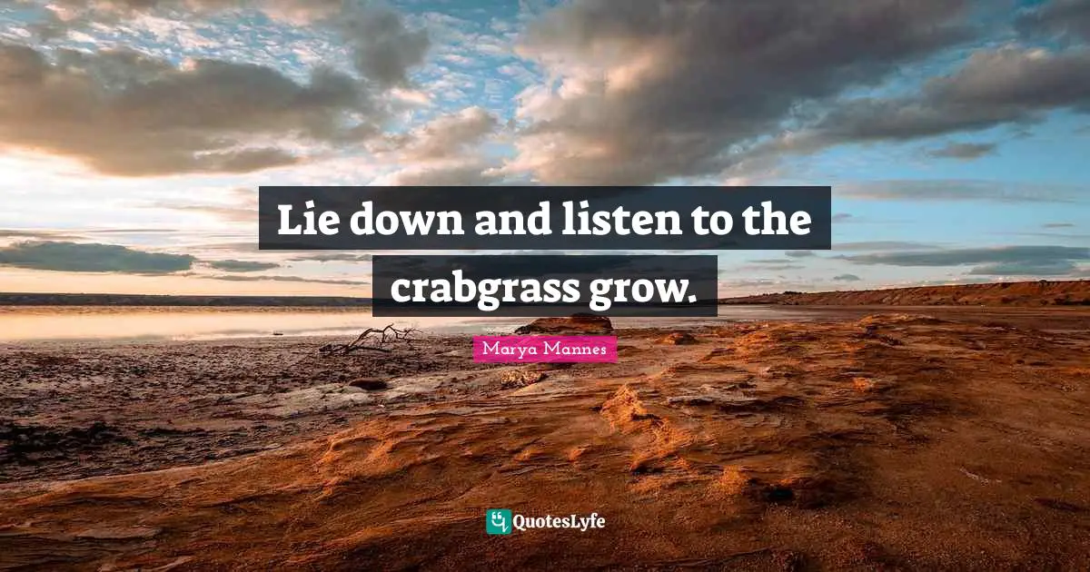 Lie down and listen to the crabgrass grow.