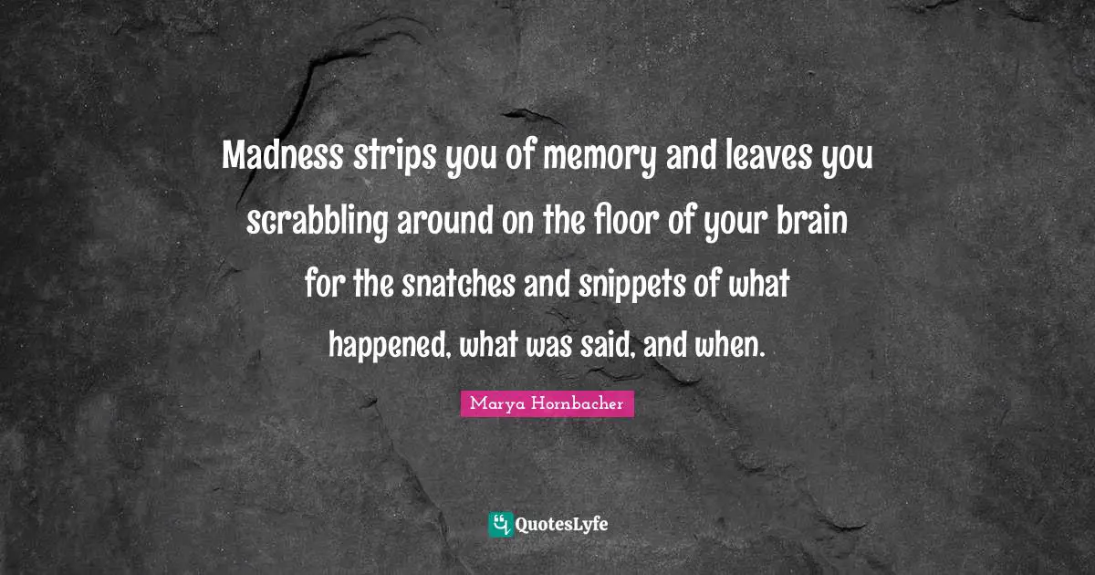 Madness strips you of memory and leaves you scrabbling around on the floor of your brain for the snatches and snippets of what happened, what was said, and when.