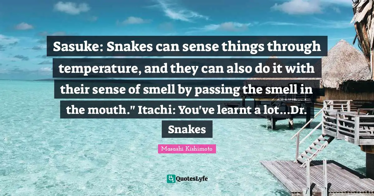 Masashi Kishimoto Quotes: "Sasuke: Snakes can sense things through temperature, and they can also do it with their sense of smell by passing the smell in the mouth." Itachi: You've learnt a lot...Dr. Snakes"