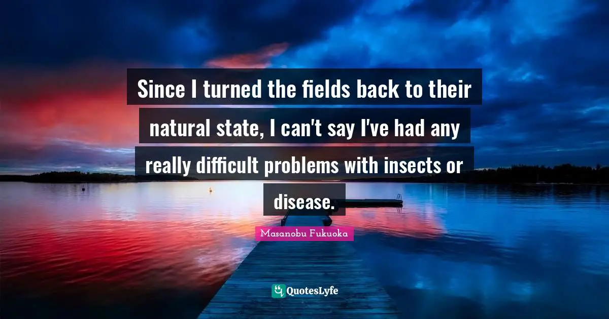 Since I turned the fields back to their natural state, I can't say I've had any really difficult problems with insects or disease.