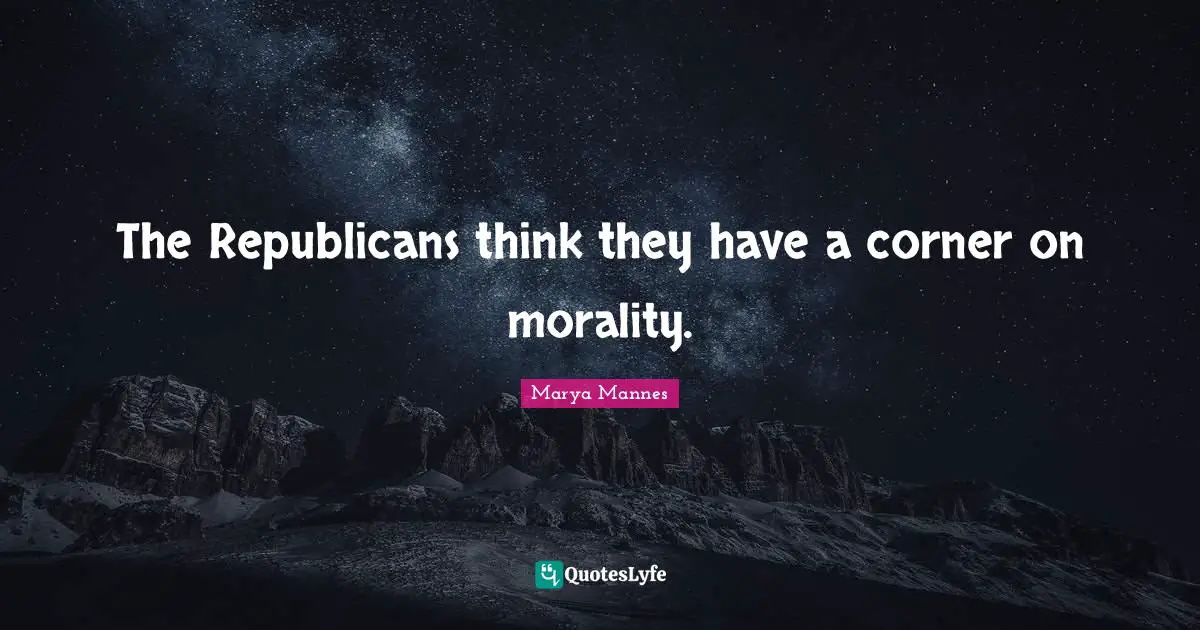 The Republicans think they have a corner on morality.